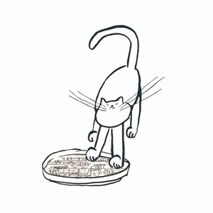 [2차 재입고] plate_cat (*최종 재입고)