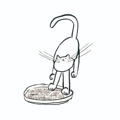 [2차 재입고] plate_cat (재고 소량)